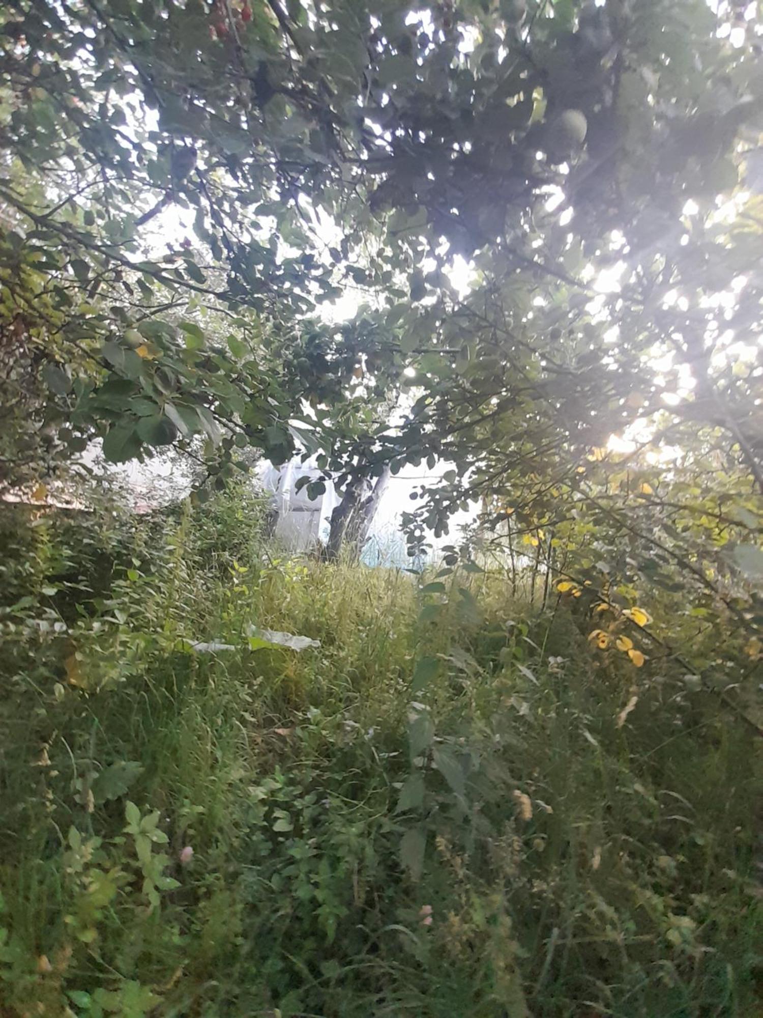 Waterfall In The Yard Karakol Exteriör bild